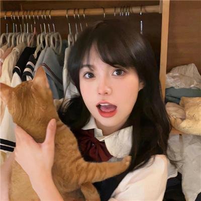 他人的领地 在线观看